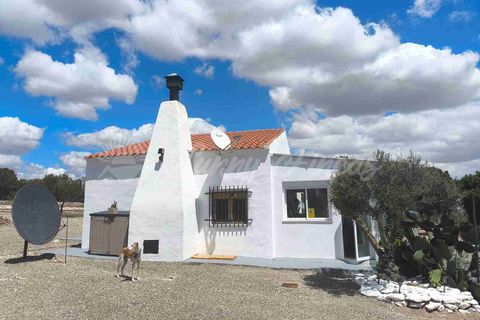 Landejendom i Yecla, Murcia, Yecla - € 225.000 | Ref: SF0527 - foto 18